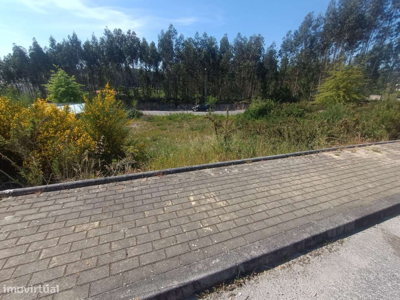 Terreno  Venda em Viatodos, Grimancelos, Minhotães e Monte de Fralães, - Grande imagem: 4/18