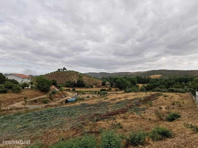 Terreno para utilização agrícola e com viabilidade de construção - Grande imagem: 5/6