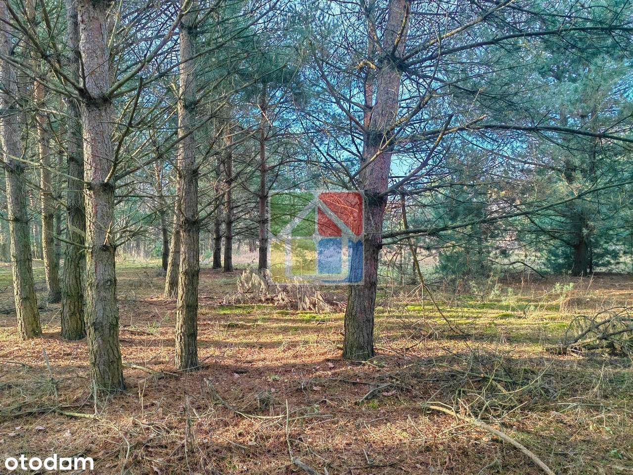 Blisko lasu i rzeczki – atrakcyjna działka pod zabudowę jednorodzinną!-3