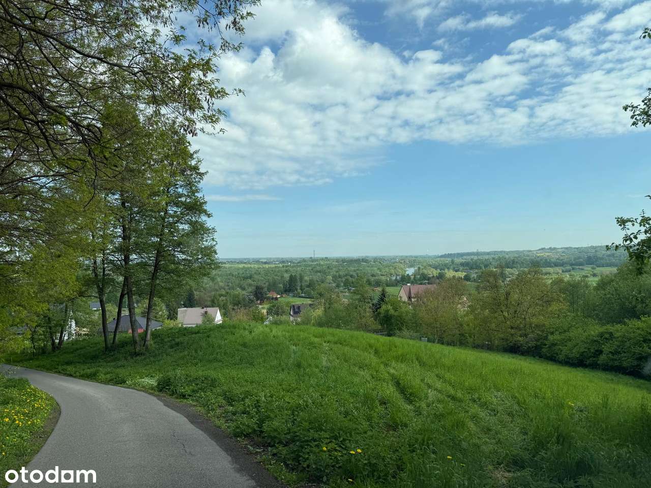 Działka - Dąbrówka Szczepanowska 3100m - Pełny obrazek: 5/6