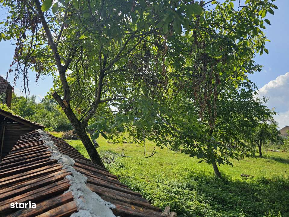 Teren intravilan - constructii, Suprafata 5.200 mp, Varzarii de Jos - Imagine principală: 4/11