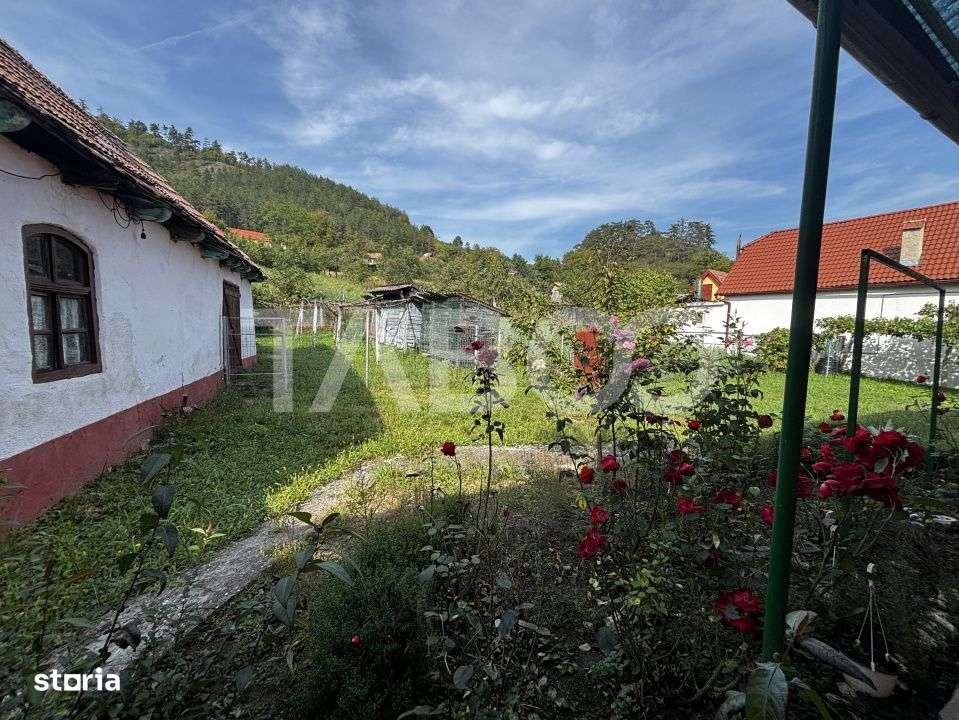 Casa saseasca de vanzare + bonus doua terenuri Seica Mare Sibiu - Imagine principală: 4/19