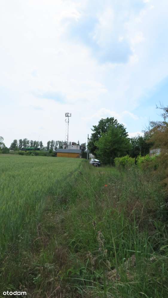 Atrakcyjne, duże działki – południowy Poznań, doskonała komunikacja - Pełny obrazek: 5/10