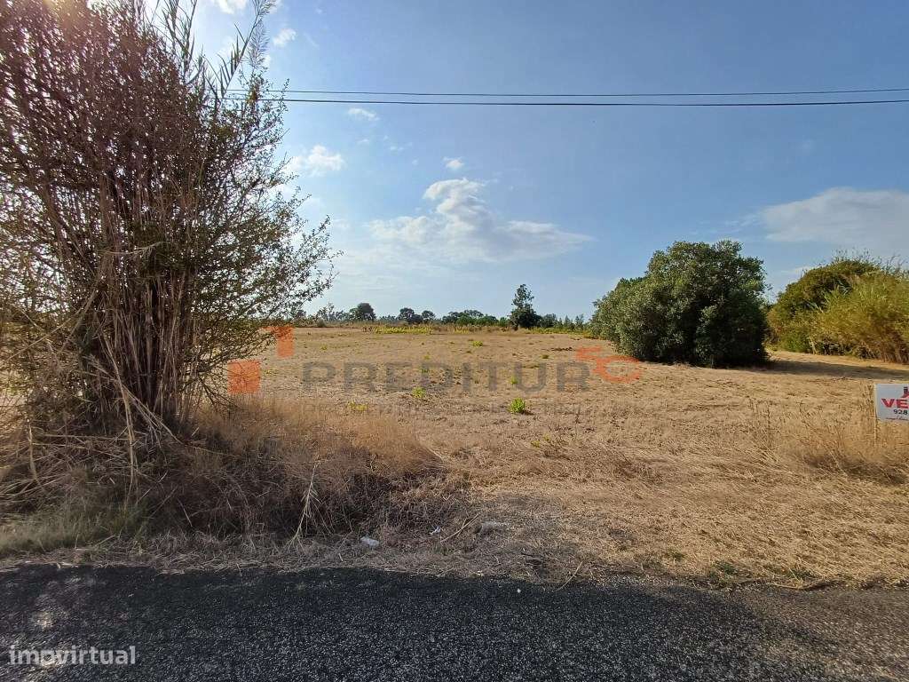 Terreno de 2940 m2 em Zona Urbanizável a 3 Kms das Caldas da Rainha-4