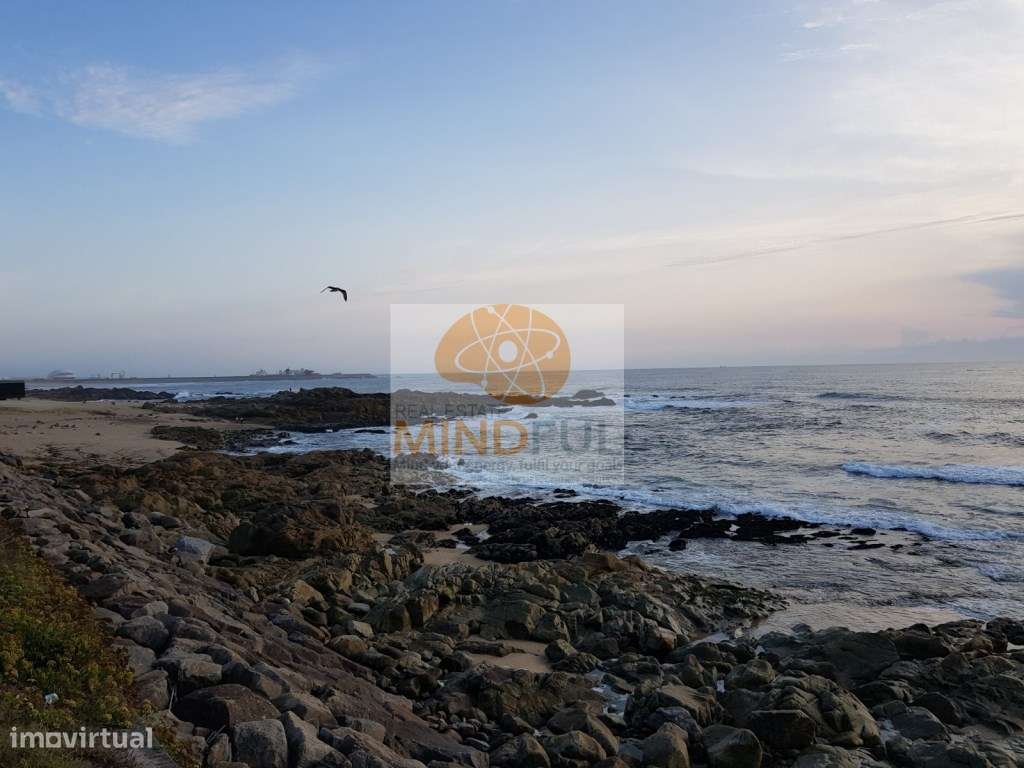 Para Investidores! Venda de Loja Renovada Arrendada por 10 anos, r/... - Grande imagem: 3/23