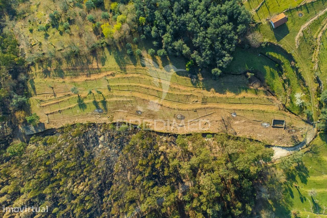 TERRENO COM CASA RUSTICA - VALDOSENDE, RIO CALDO, GERÊS - Grande imagem: 5/27