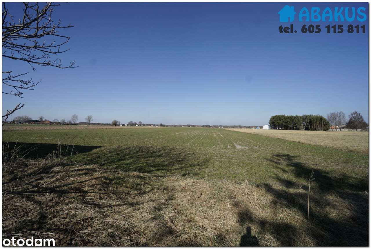 Na sprzedaż dom + bud. gospodarcze + 1,15 ha - Modlibogowice-17