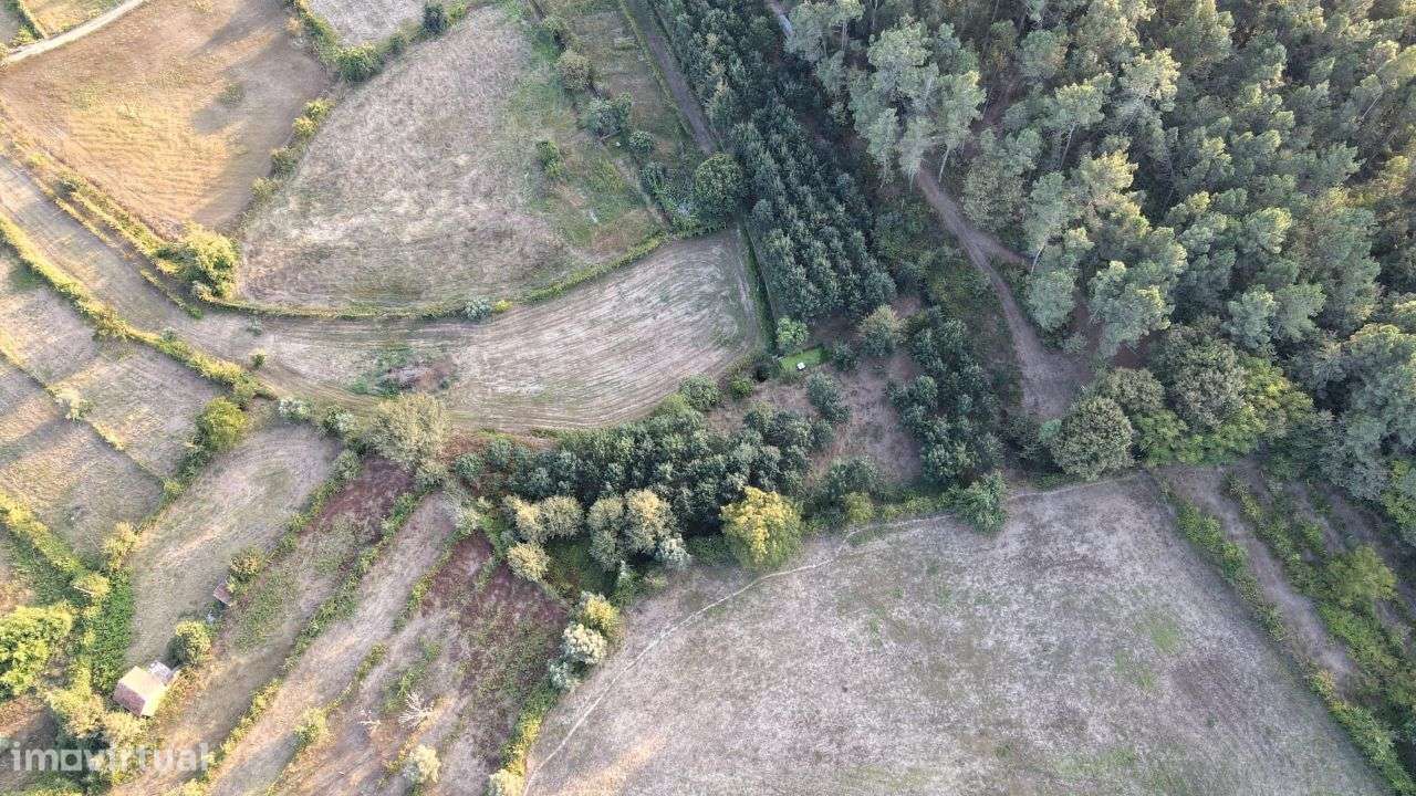 Quinta com Casa Senhorial e Capela - Grande imagem: 3/15