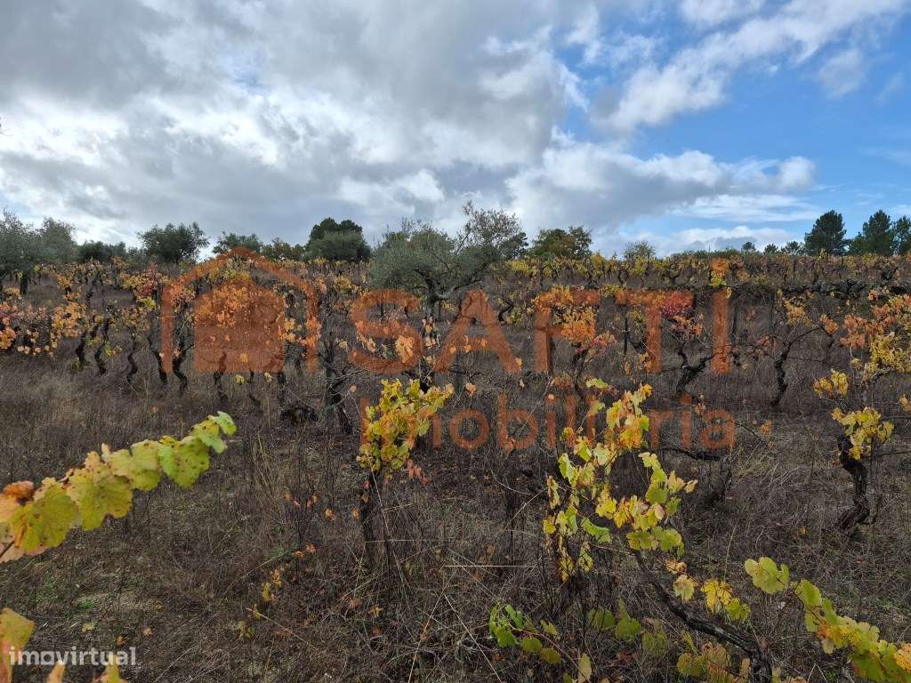 Terreno à venda em Prados - Pinhel-7