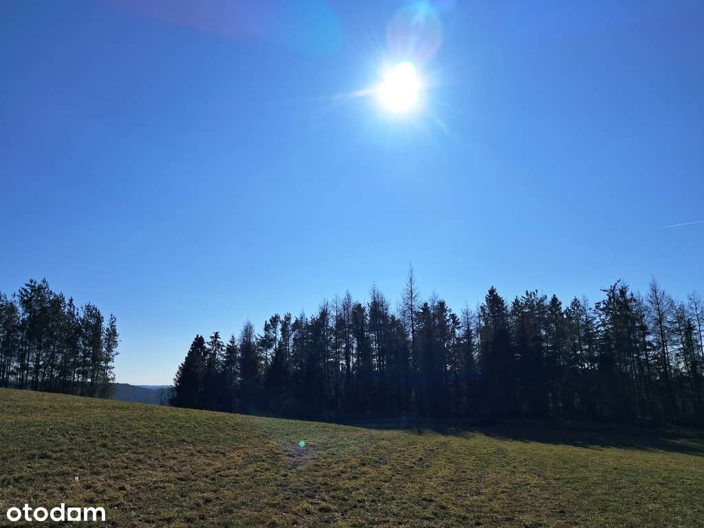 Działka w Borzestowie z potencjałem - Pełny obrazek: 4/5