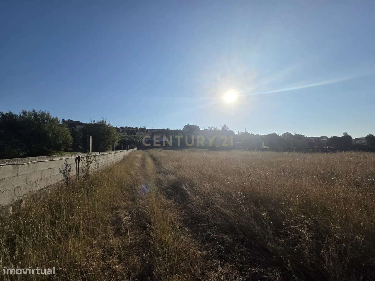 Casa Antiga || Quintinha com 7000 m2 || Vermoil, Pombal-5