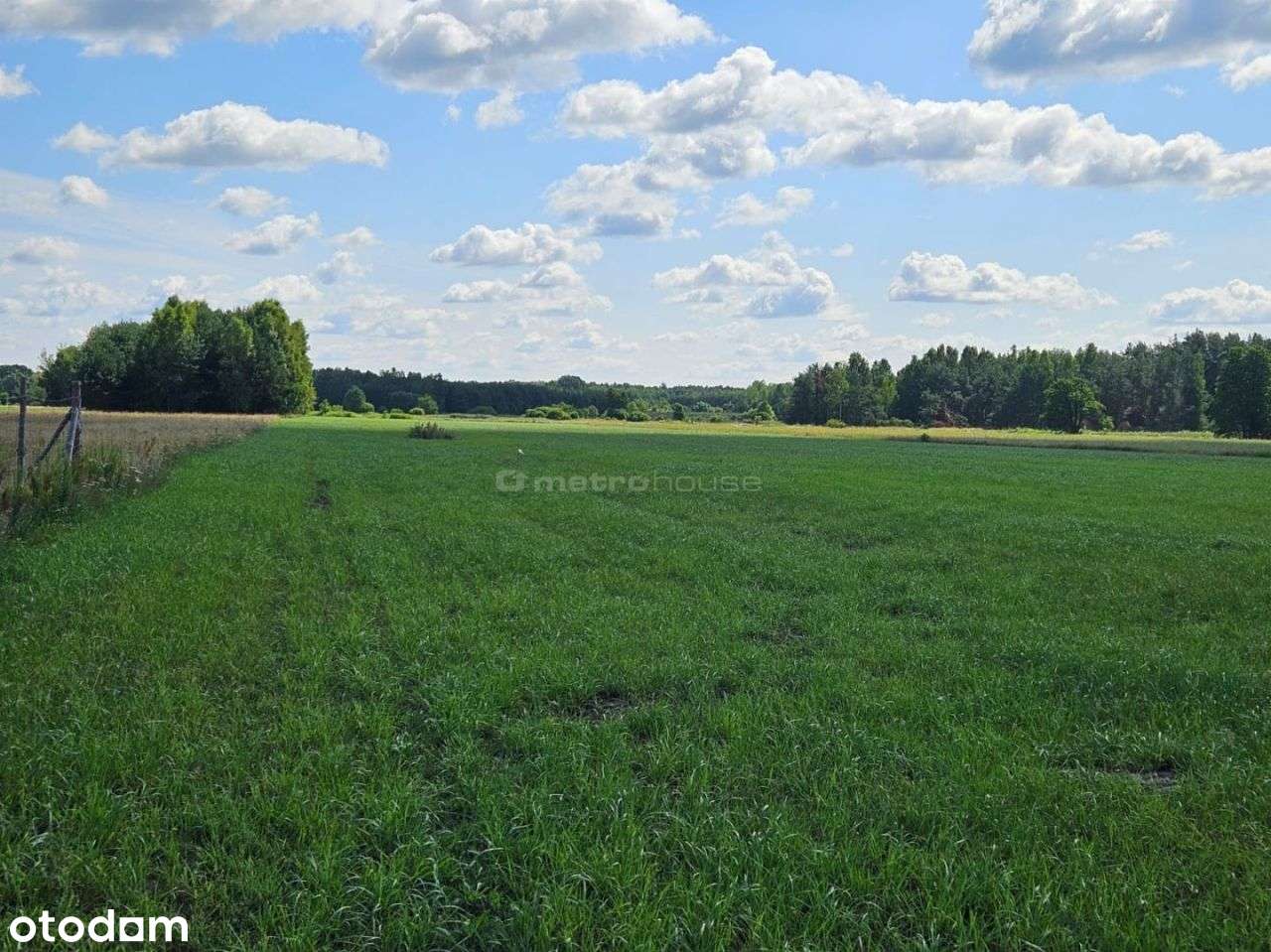 Działka, 1 665 m², Żdżar - Pełny obrazek: 5/10