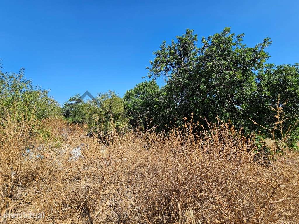 Casa com herdade de 30 mil m2 a sul de Loulé com enorme potencial-7