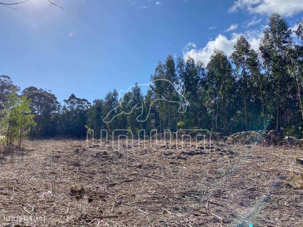 Terreno para construção perto de Stº Antão - Caminha - Grande imagem: 4/9