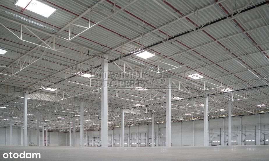 hala do wynajęcia klasy A w Katowicach - Pełny obrazek: 3/4