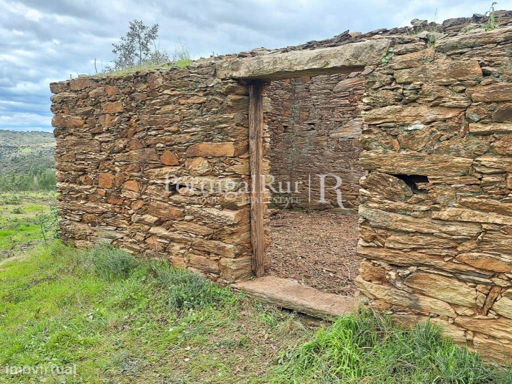 Propriedade com 3,5 ha e construções para recuperar - Grande imagem: 4/27