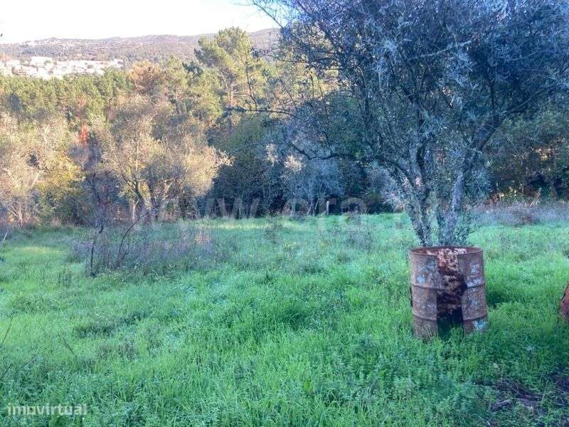 Terreno Rústico / Seia, Seia, São Romão e Lapa dos Dinheiros - Grande imagem: 1/12