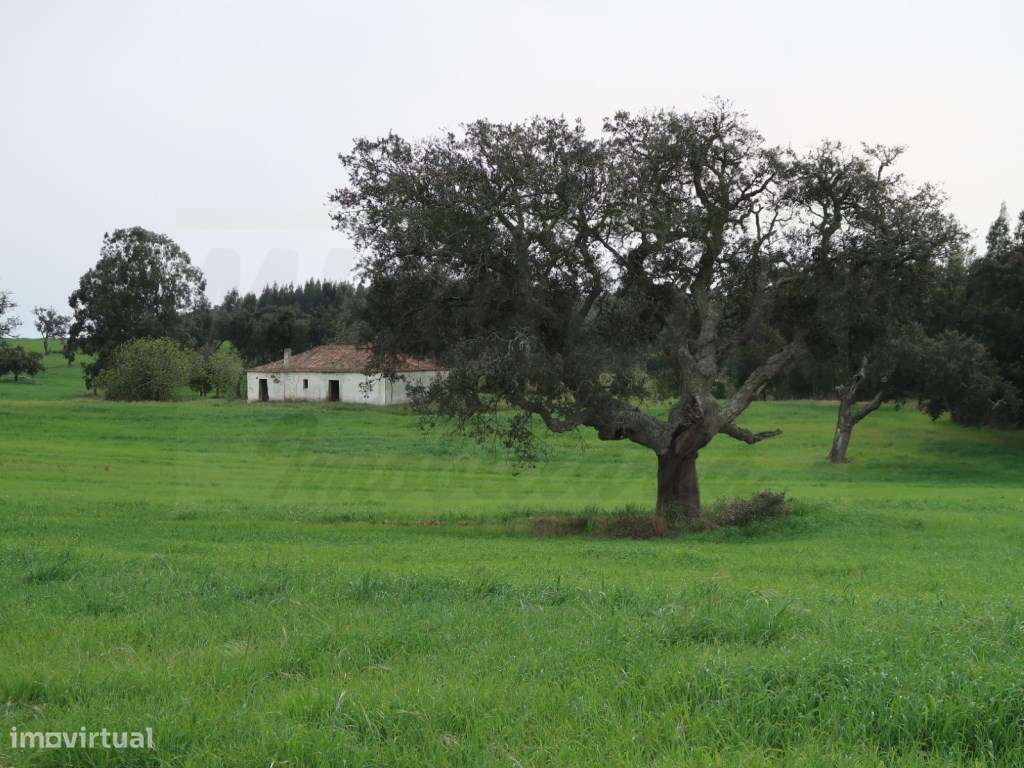 Quinta em excelente localização-31