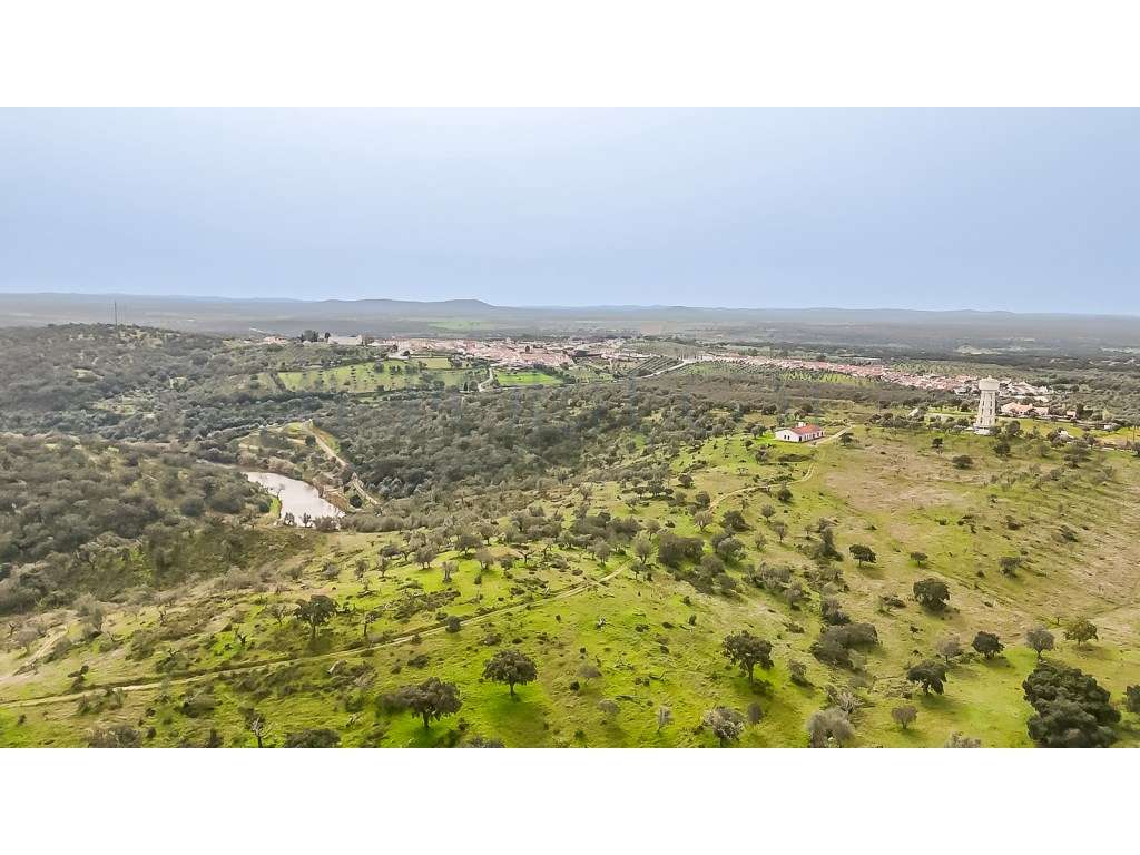 Herdade da Adua | 14 Hectares com Potencial Turístico e Agrícola - ...-7