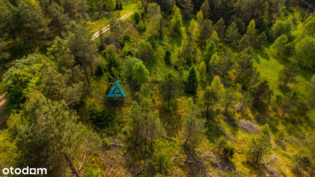 Działka w sercu lasów i jezior - Sulęczyno - Pełny obrazek: 5/16