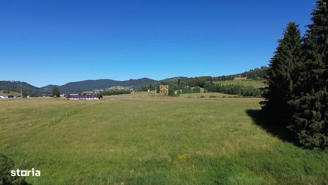 Teren in Bucovina! La Munte! De vanzare! - Imagine principală: 4/12