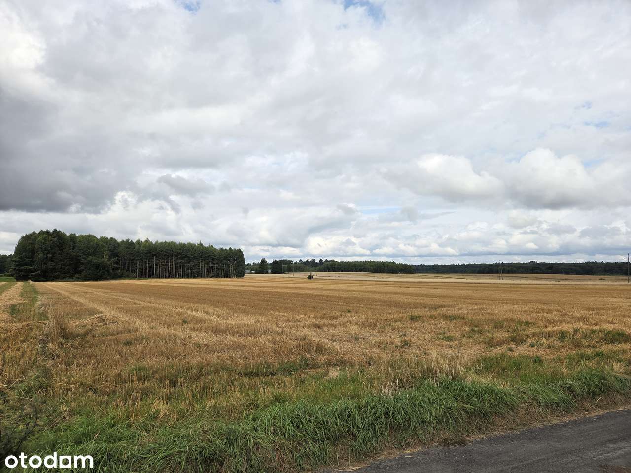 Budowlana  10 ar  pod lasem Sieroczyn Człuchów - Pełny obrazek: 4/8