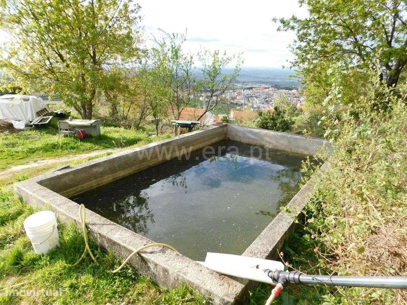 Terreno Urbano / Seia, São Romão - Grande imagem: 3/13