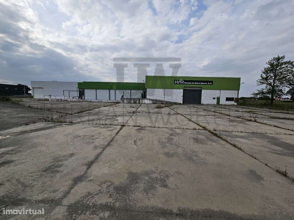 Armazém, Salvaterra de Magos - Santarém, 3.026 m2-8