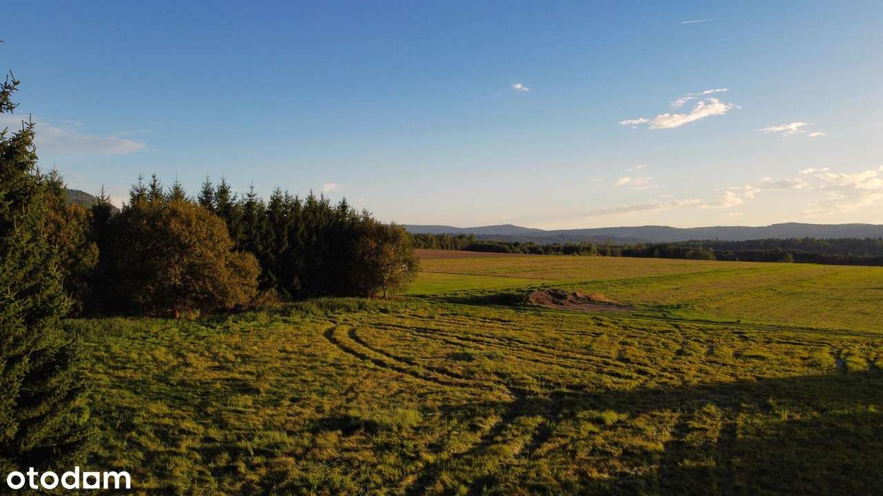 Działka budowlana 6900 m² z zabudową – Goworów (Masyw Śnieżnika)-3