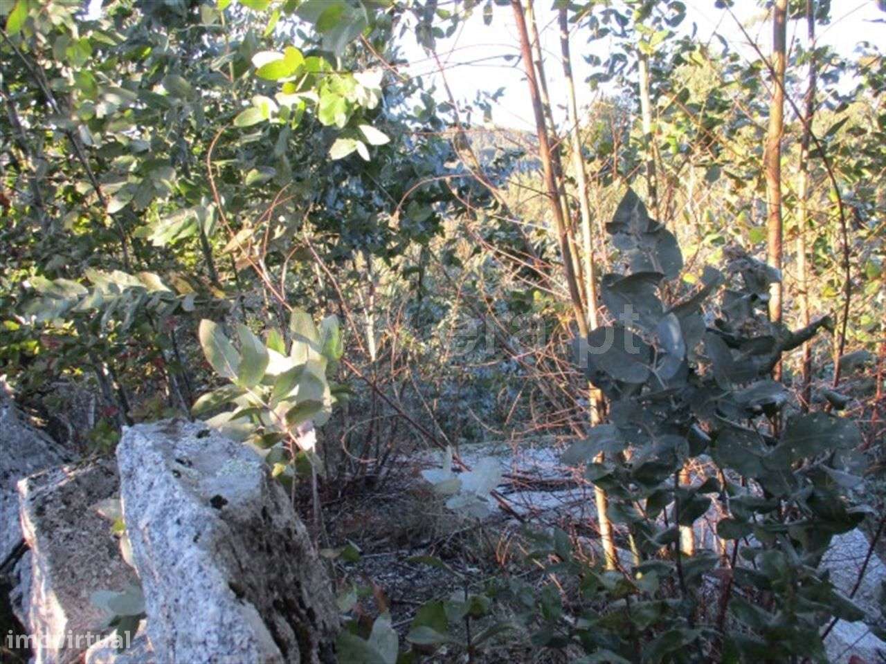 Terreno - Grande imagem: 4/9