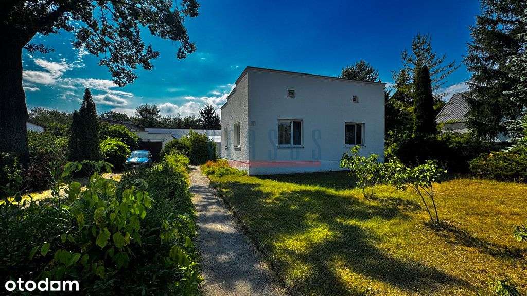 Umowa Na Wyłączność !!! - Pełny obrazek: 2/20