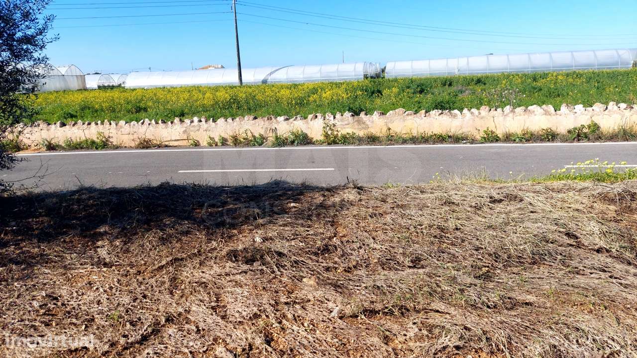 Lote de Terreno Rustico - Grande imagem: 5/6