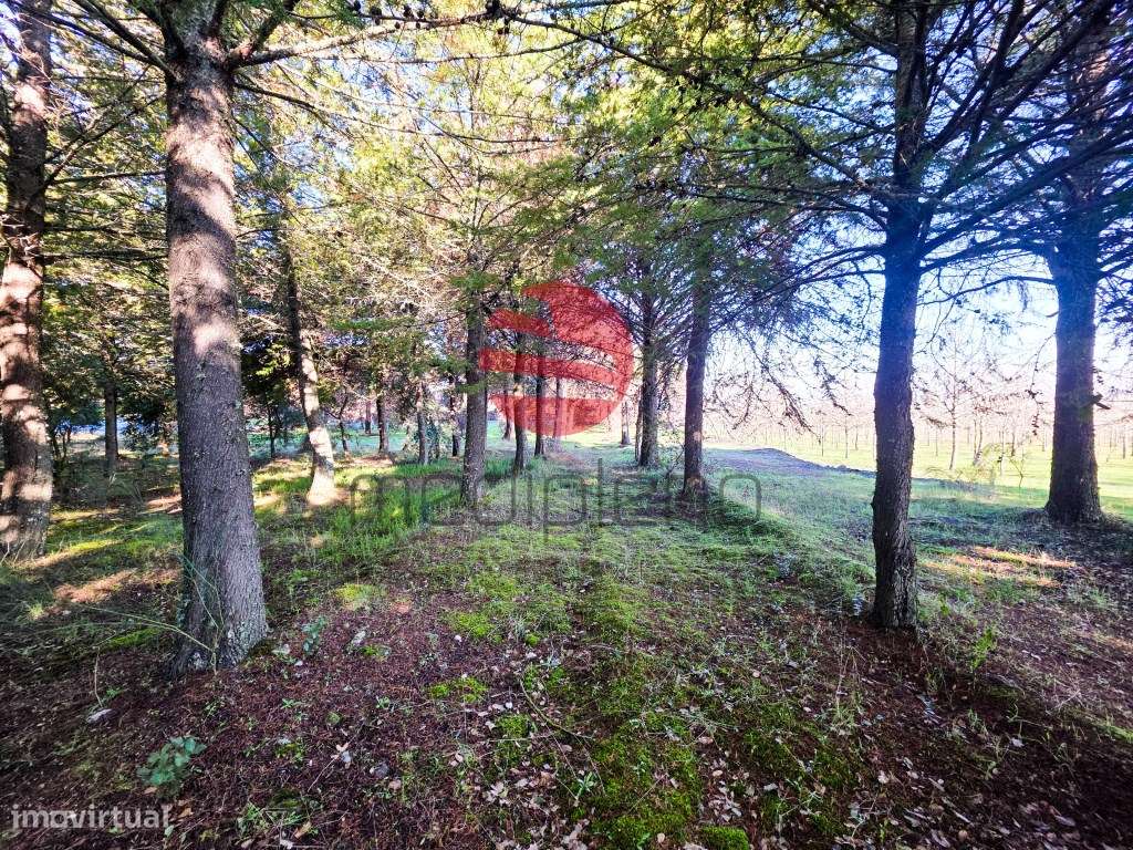 QUINTA AGRÍCOLA - Grande imagem: 5/10