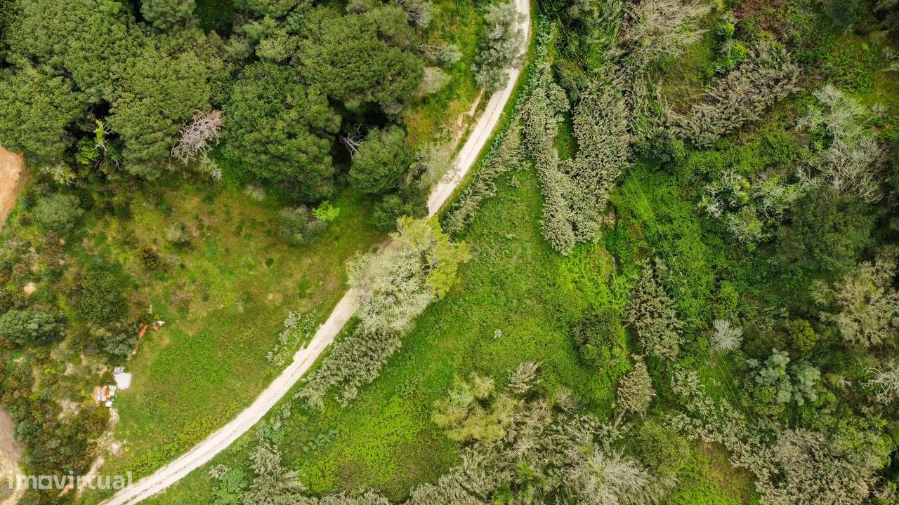 Fantástico Terreno de 6000 m2 para investimento - Grande imagem: 3/14