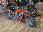 Harley-Davidson Softail V-Rod - 6