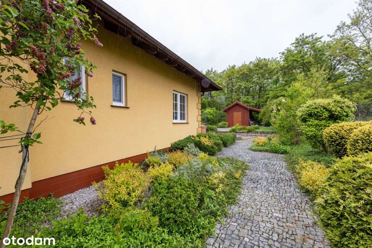 dom parterowy | duża działka | piękny ogród-16