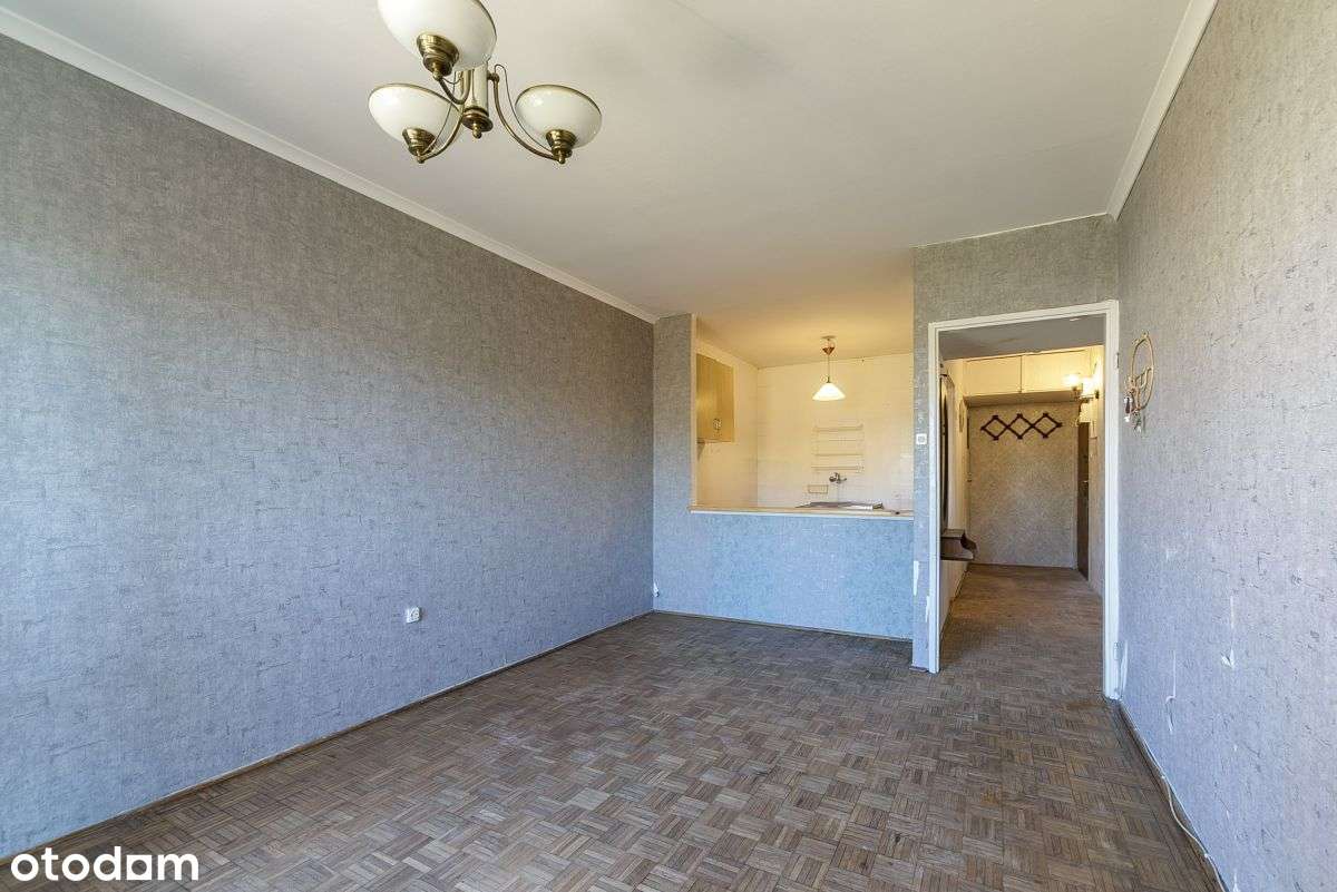 Potencjał, inwestycja, lokalizacja.-13