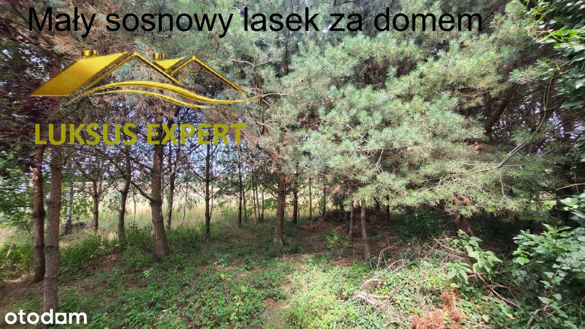 Dom w Kowalach. - Pełny obrazek: 4/18