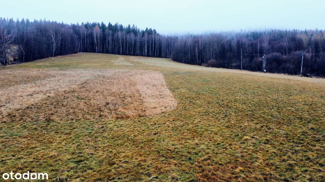 5,5 ha z działką budowlaną – świetne pod domki i agroturystykę-3