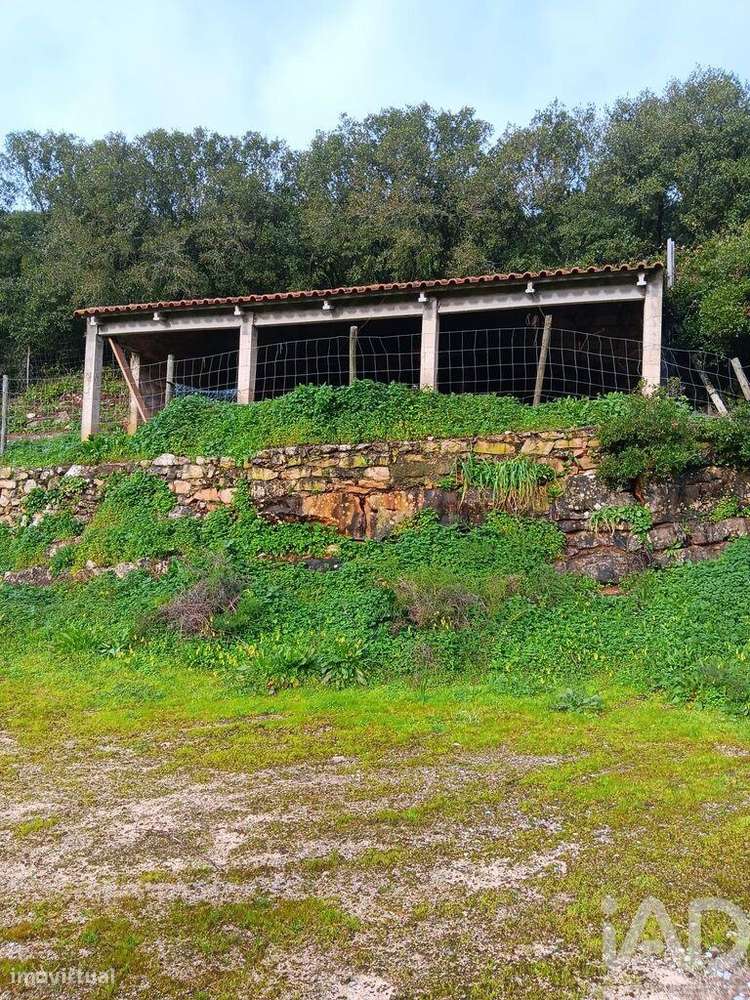 Casa / Villa T4 em Aljubarrota de 317 m2 - Grande imagem: 5/19