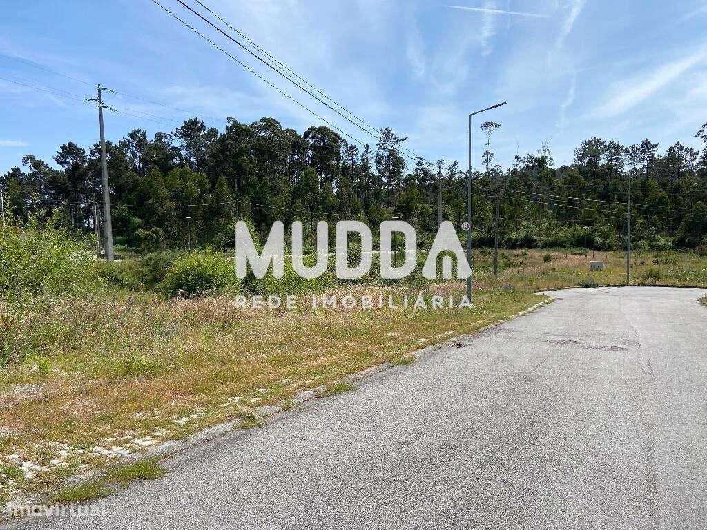 Loteamento em Oliveira de Azeméis, Fajões - Grande imagem: 4/8