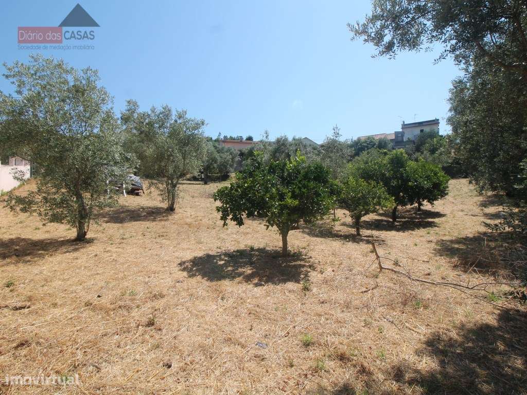 Terreno com viabilidade de construção - Grande imagem: 3/6