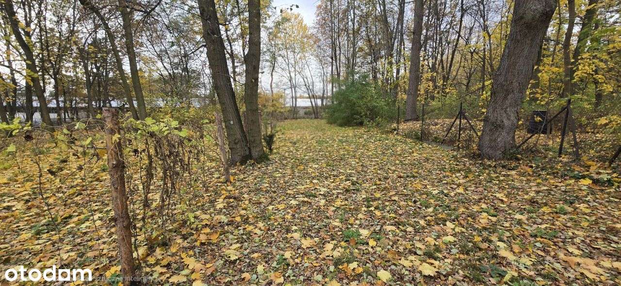Działka w sercu Podkowy Leśnej .-3
