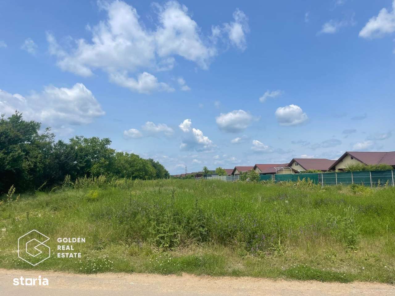 Teren intravilan, Balotești, Strada Cameliei 36, 10.000 mp - Imagine principală: 5/5