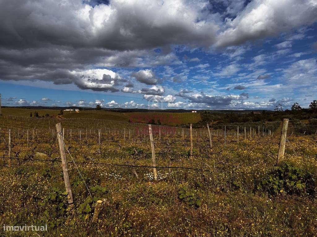 Quinta do Barranco, Alandroal - Grande imagem: 2/11