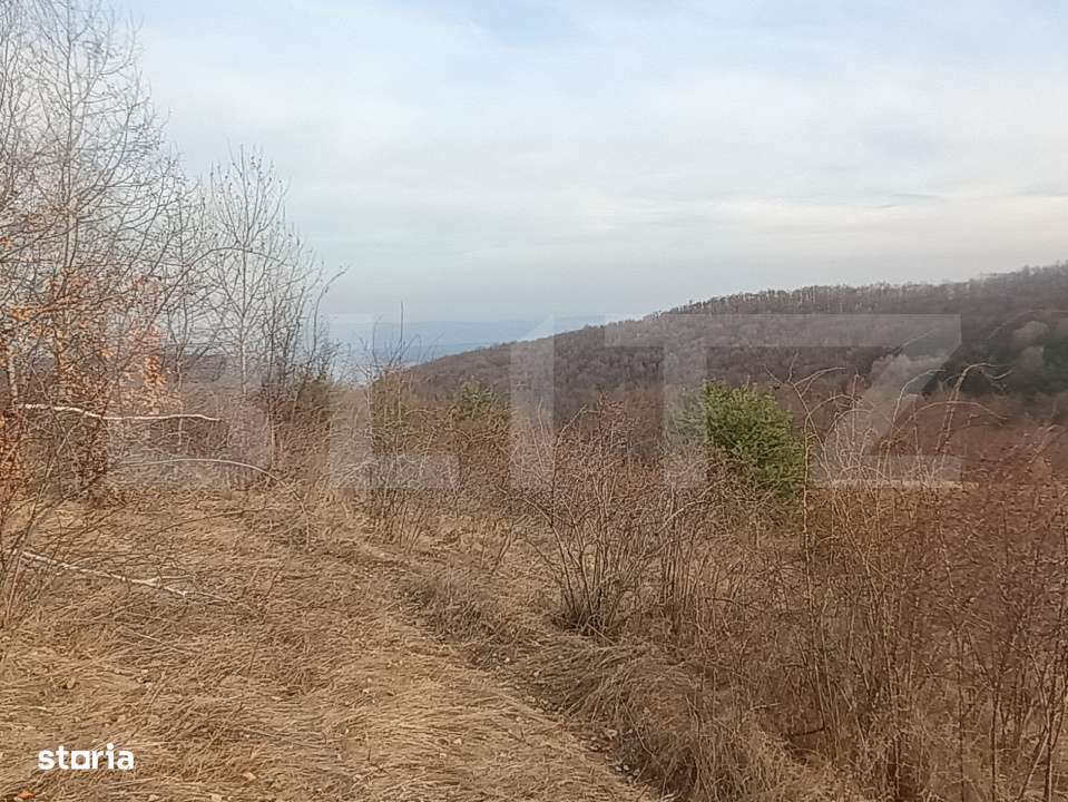 Teren extravilan, 12000 mp, curent com. Ramet - Imagine principală: 2/7