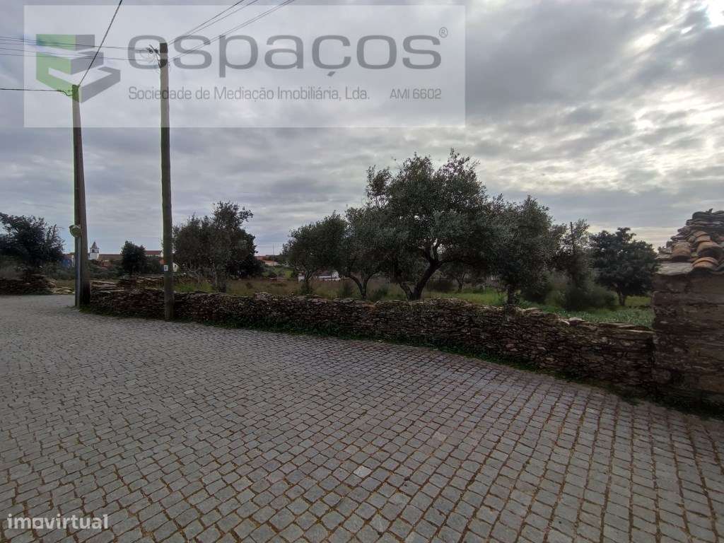 Terreno com viabilidade de construção - Benquerenças - Grande imagem: 3/4