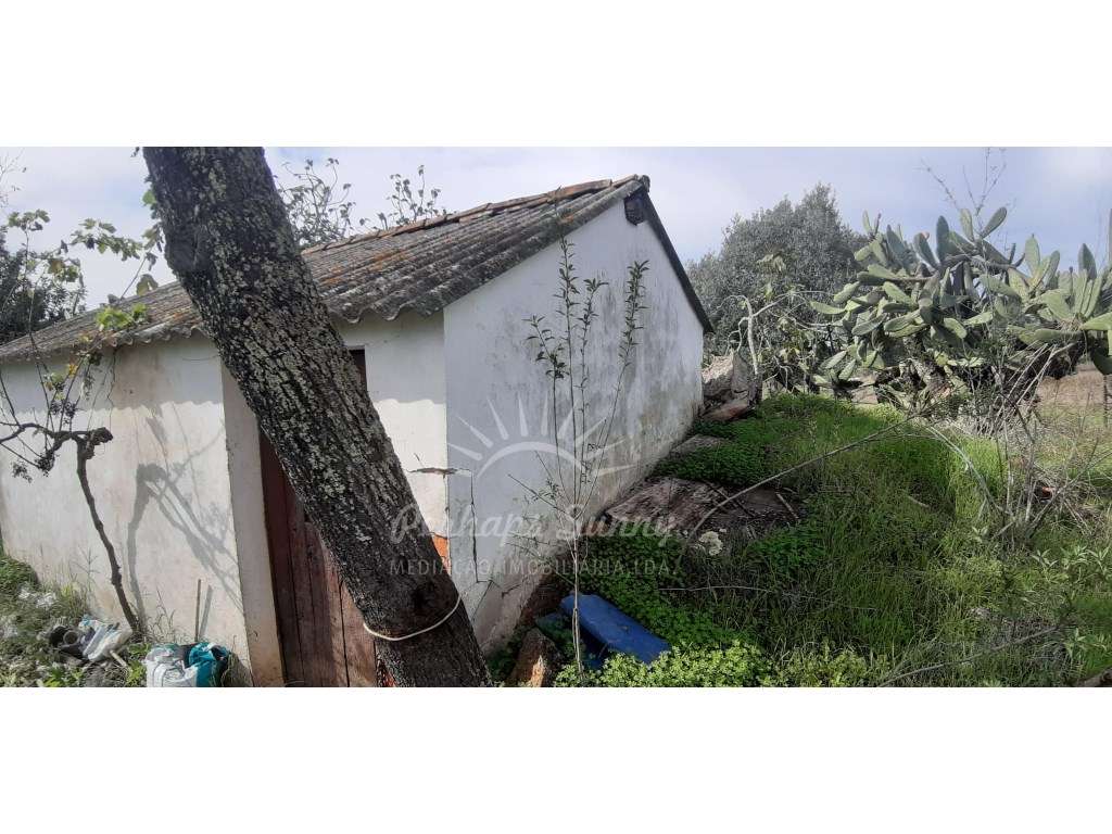 Quintinha 3 Ha com 2 habitações - Grande imagem: 5/14