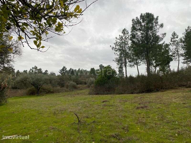 Terreno Rústico / Fundão, Orca - Grande imagem: 2/8