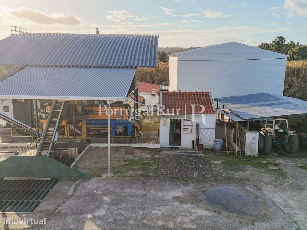 Unidade Industrial de Produção de Azeite & Elevado Potencial Produtivo-58